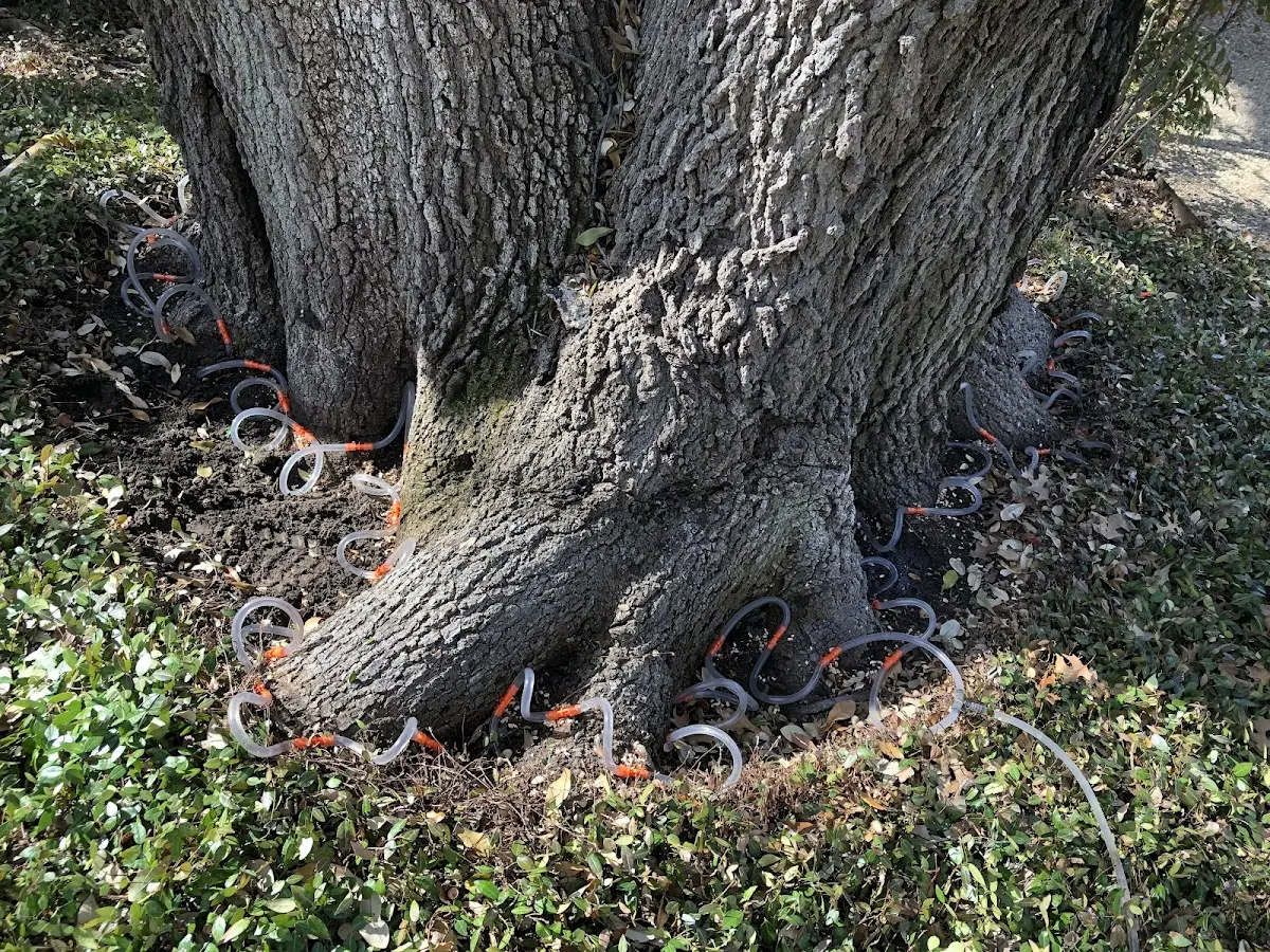 Detailed Shrub and Hedge Trimming job site in Fletcher
