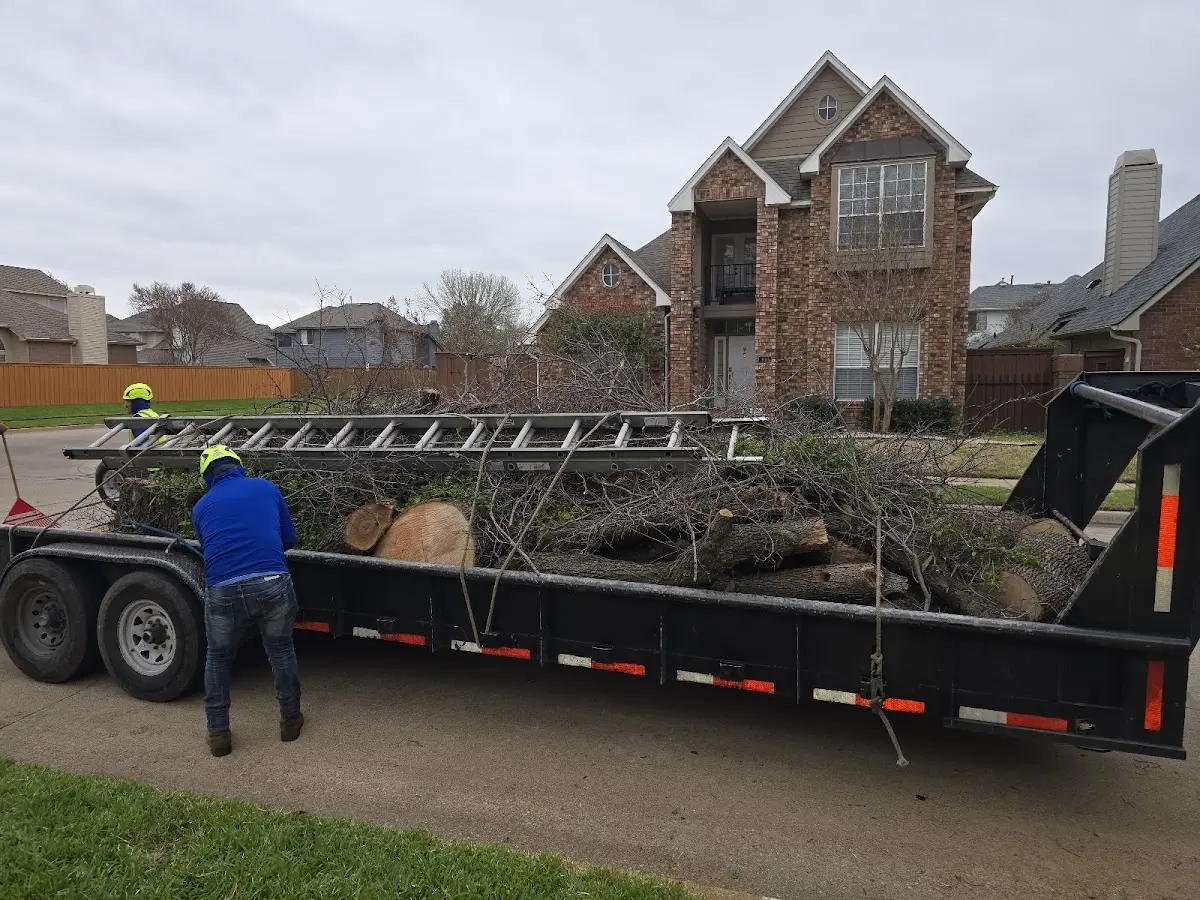 Expert Tree Pest Control with proper safety equipment in Fletcher